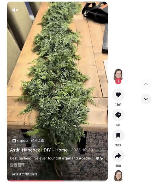 Astin Hancock cedar garland TikTok 案例