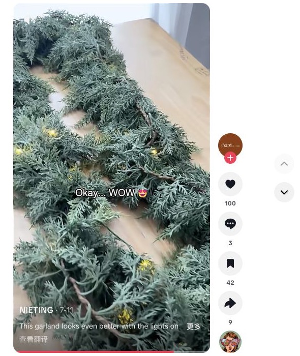 NIETING 亮灯 Garland TikTok 视频截图