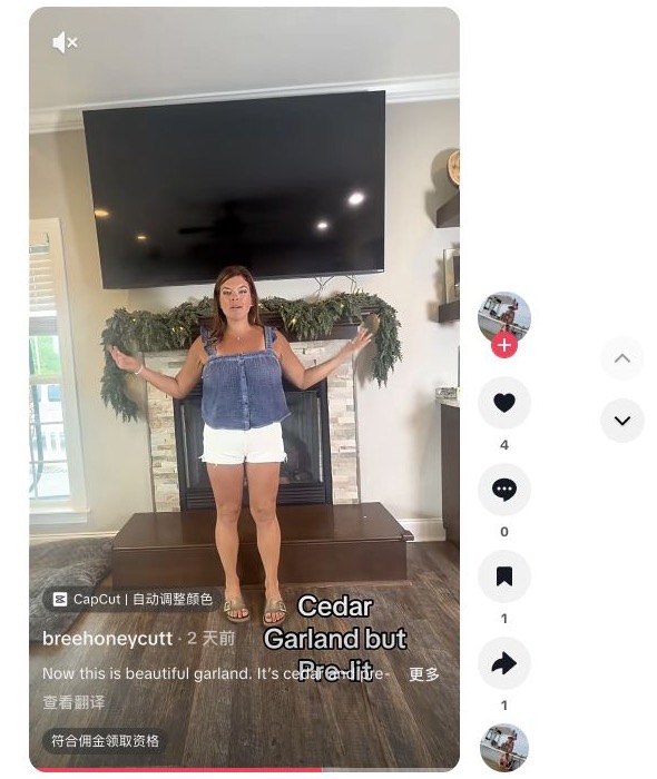 breehoneycutt 与 NIETING Paid partnership 视频截图