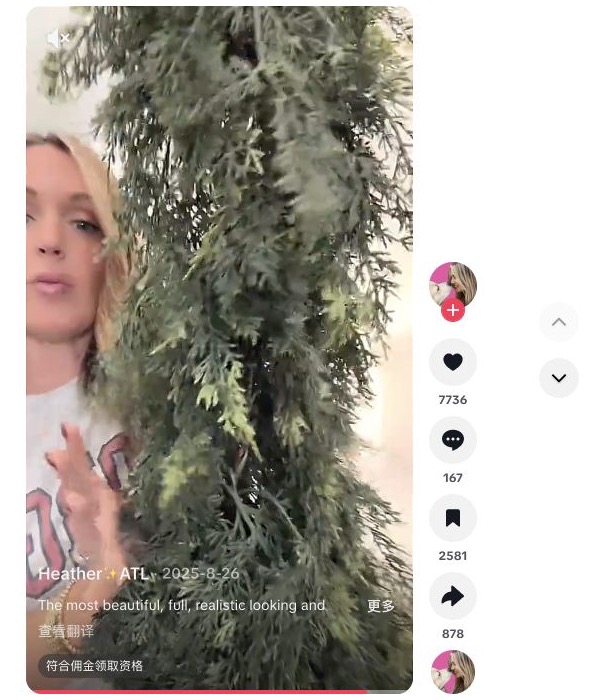 Heather ATL cedar garland TikTok 案例